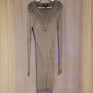 Express BodyCon Sweaterdress